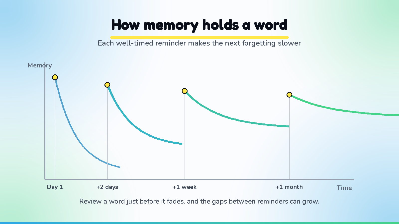 A memory curve for readers: a word met once fades within a day or two, but each well-timed reminder makes the next forgetting slower, so the review gaps grow from a day to a week to a month.