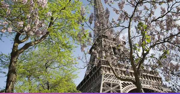 French Vocabulary Builder: 500 Essential Words to Learn First