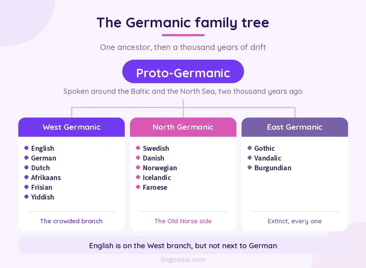 The Germanic family tree: West Germanic, North Germanic and the extinct East Germanic branch