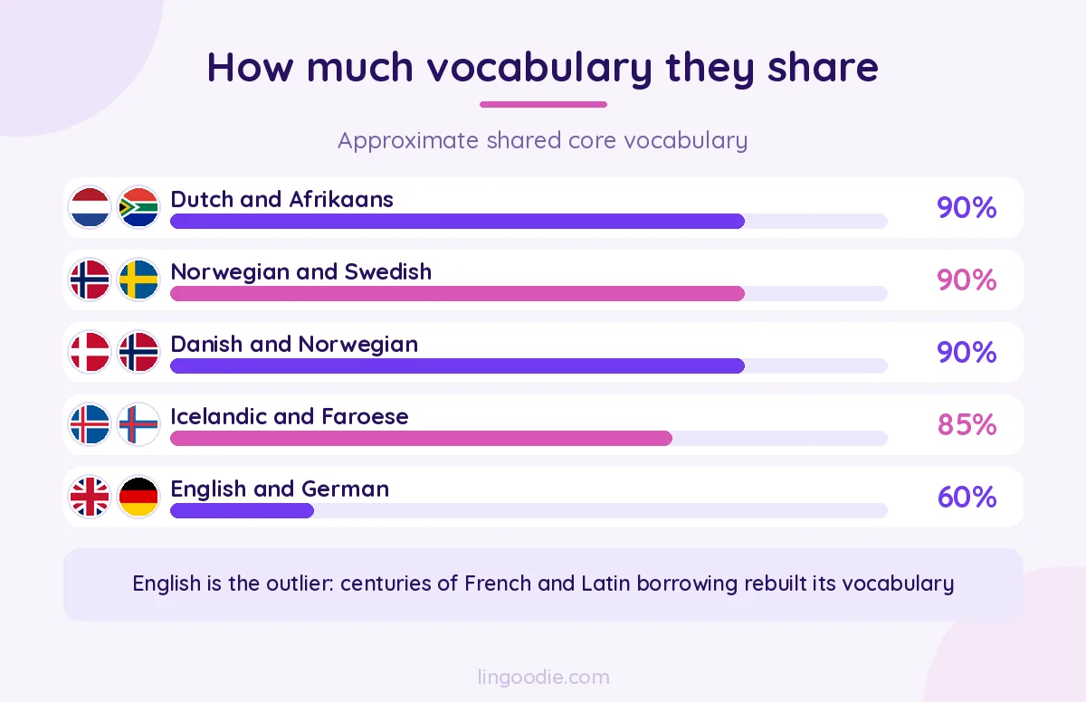 Approximate shared vocabulary between Germanic language pairs, from Dutch and Afrikaans down to English and German