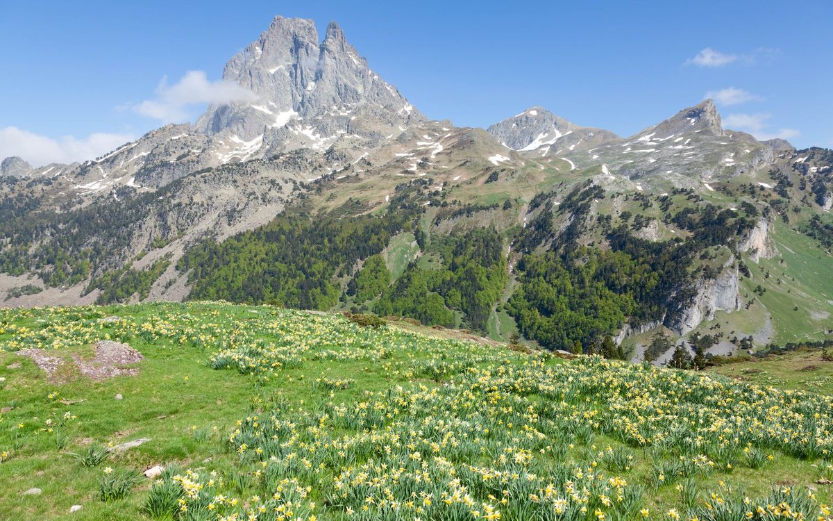 Green hills of the Basque Country between Spain and France