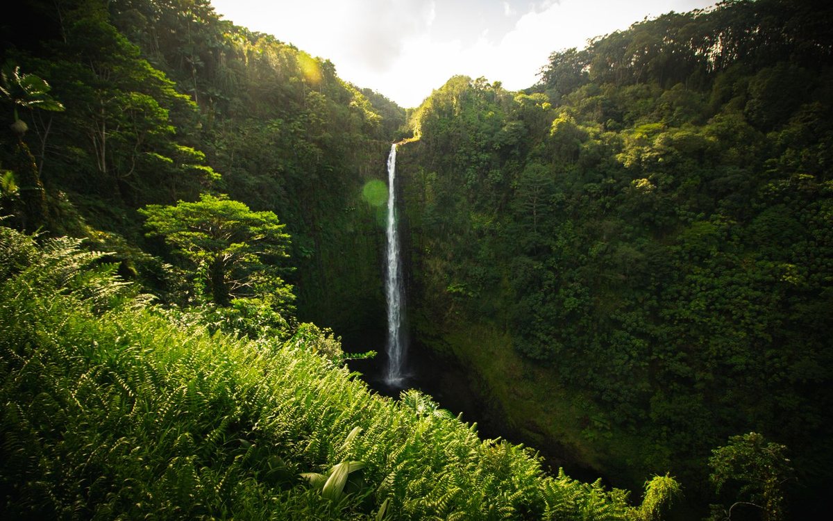 A lush, rain-fed green valley in Hawaii