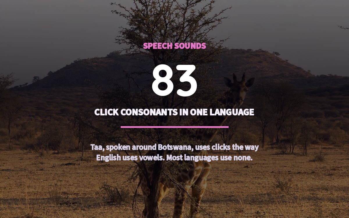 Graphic: Taa has 83 click consonants, over a savanna backdrop