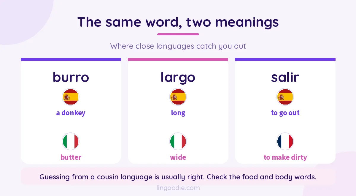 False friends between Romance languages, showing burro, largo and salir with their two meanings