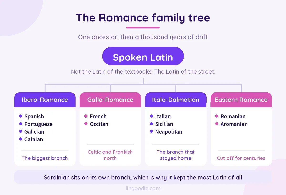 The Romance family tree: Ibero-Romance, Gallo-Romance, Italo-Dalmatian, Eastern Romance and Sardinian on its own branch