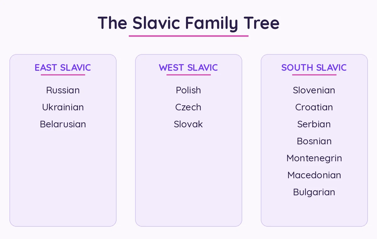 The Slavic family tree: East, West and South Slavic branches with their languages