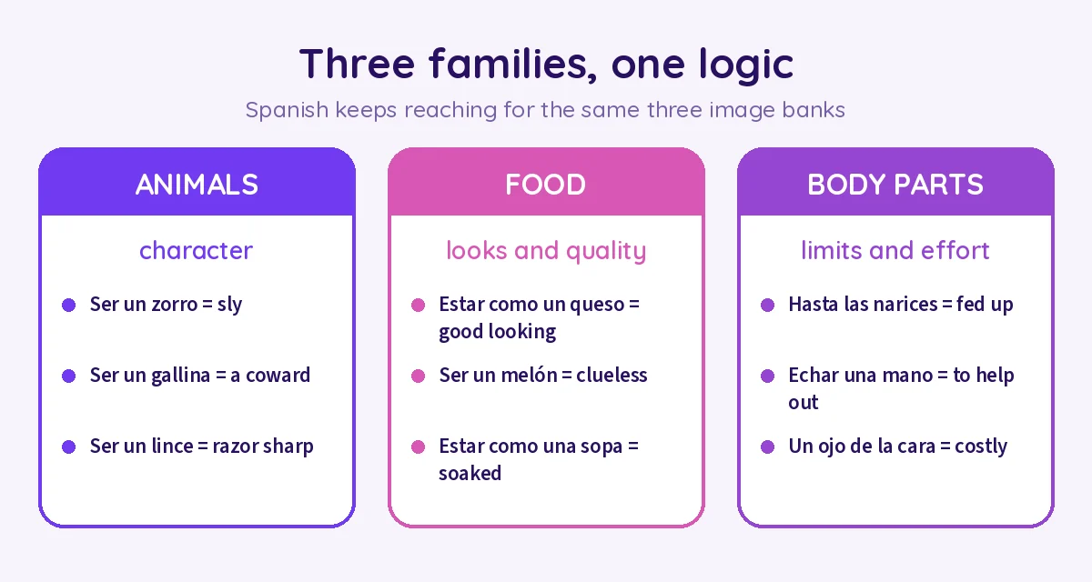 Three families of Spanish idioms: animals for character, food for looks and quality, body parts for limits and effort